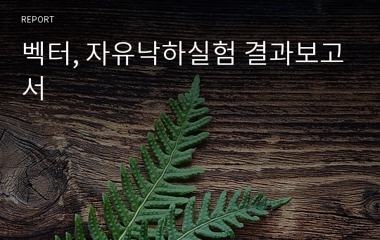 벡터, 자유낙하실험 결과보고서