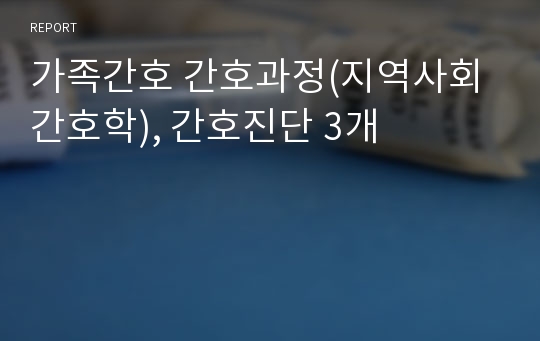 가족간호 간호과정(지역사회 간호학), 간호진단 3개