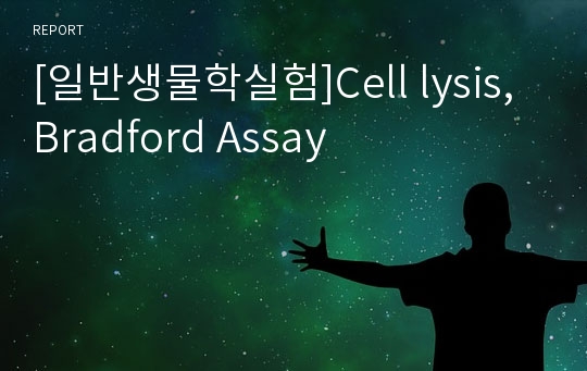 [일반생물학실험]Cell lysis, Bradford Assay