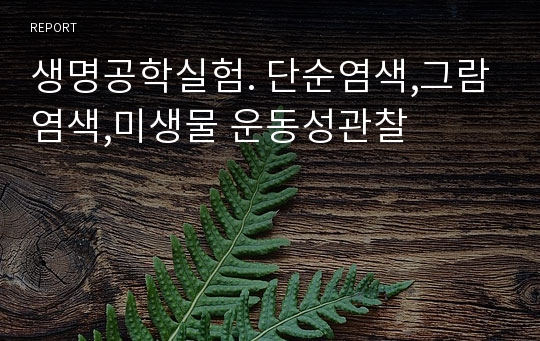 생명공학실험. 단순염색,그람염색,미생물 운동성관찰