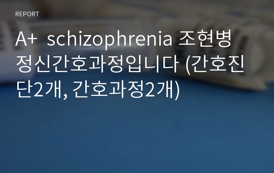 A+  schizophrenia 조현병 정신간호과정입니다 (간호진단2개, 간호과정2개)