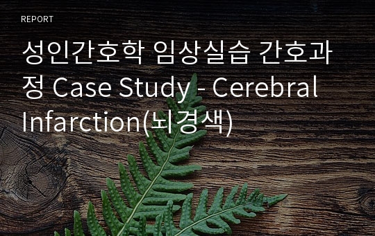 성인간호학 임상실습 간호과정 Case Study - Cerebral Infarction(뇌경색)