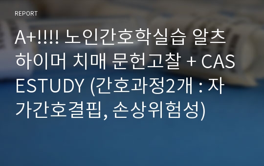 A+!!!! 노인간호학실습 알츠하이머 치매 문헌고찰 + CASESTUDY (간호과정2개 : 자가간호결핍, 손상위험성)