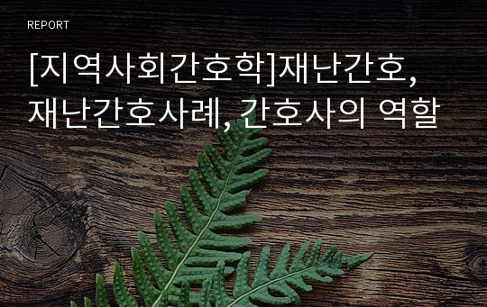 [지역사회간호학]재난간호, 재난간호사례, 간호사의 역할