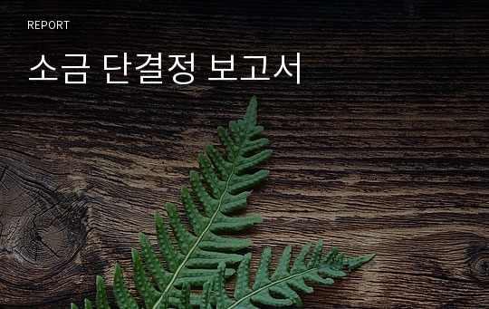 소금 단결정 보고서