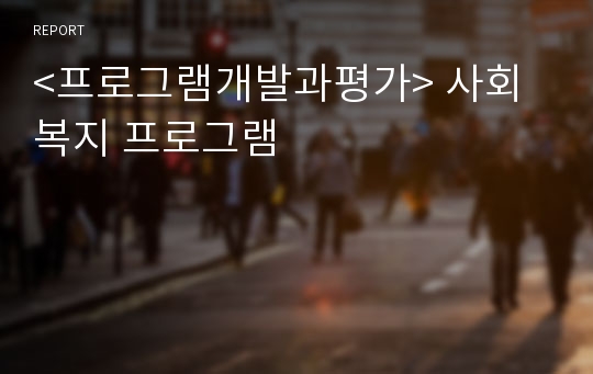 &lt;프로그램개발과평가&gt; 사회복지 프로그램