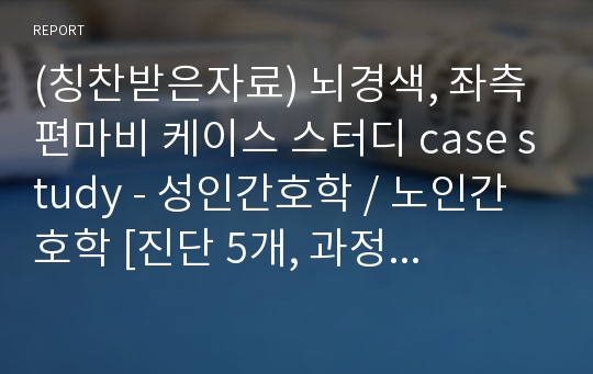 (칭찬받은자료) 뇌경색, 좌측 편마비 케이스 스터디 case study - 성인간호학 / 노인간호학 [진단 5개, 과정 3개]