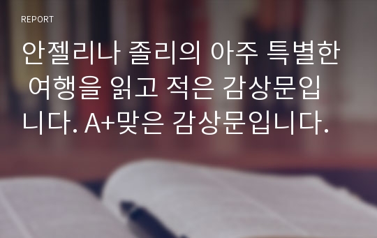 안젤리나 졸리의 아주 특별한 여행을 읽고 적은 감상문입니다. A+맞은 감상문입니다.