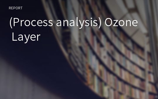 (Process analysis) Ozone Layer