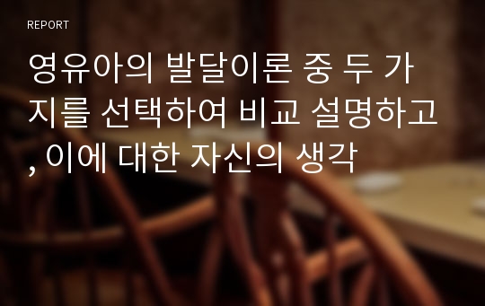 영유아의 발달이론 중 두 가지를 선택하여 비교 설명하고, 이에 대한 자신의 생각