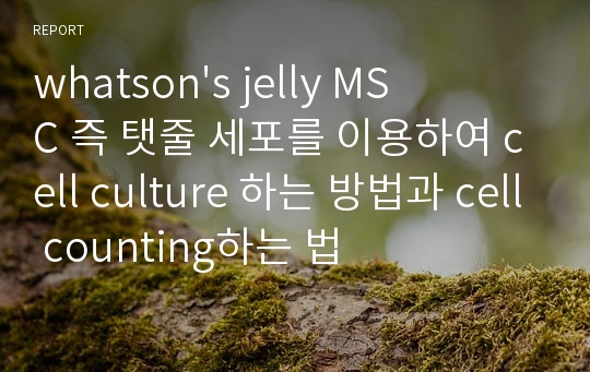 whatson&#039;s jelly MSC 즉 탯줄 세포를 이용하여 cell culture 하는 방법과 cell counting하는 법