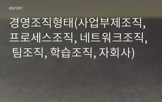 경영조직형태(사업부제조직, 프로세스조직, 네트워크조직, 팀조직, 학습조직, 자회사)