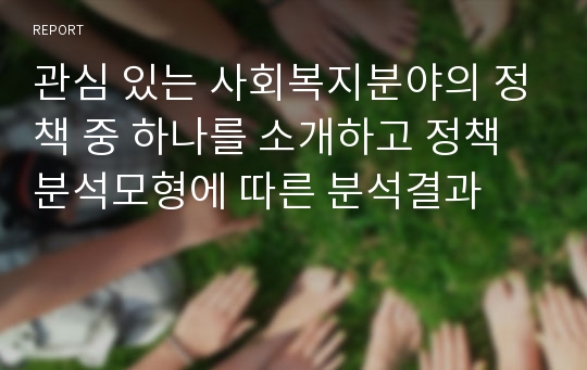 관심 있는 사회복지분야의 정책 중 하나를 소개하고 정책분석모형에 따른 분석결과