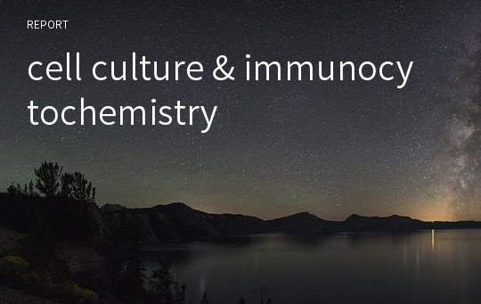 cell culture &amp; immunocytochemistry