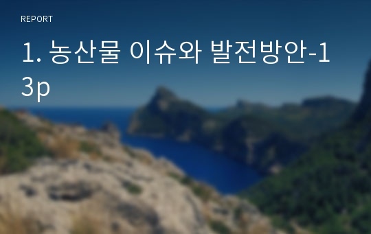 1. 농산물 이슈와 발전방안-13p