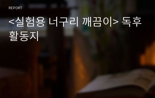 &lt;실험용 너구리 깨끔이&gt; 독후활동지