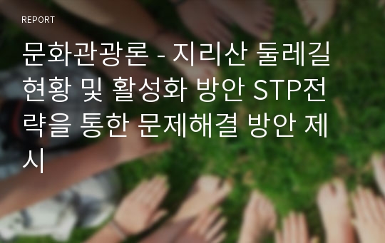 문화관광론 - 지리산 둘레길 현황 및 활성화 방안 STP전략을 통한 문제해결 방안 제시