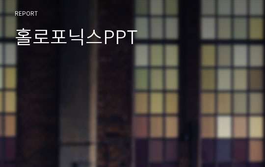 홀로포닉스PPT