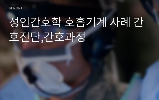 성인간호학 호흡기계 사례 간호진단,간호과정