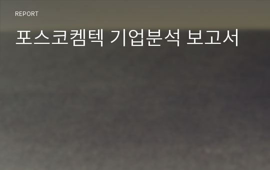 포스코켐텍 기업분석 보고서