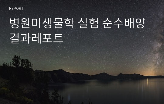 병원미생물학 실험 순수배양 결과레포트