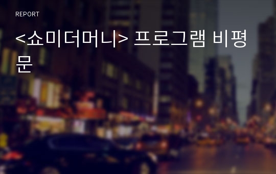 &lt;쇼미더머니&gt; 프로그램 비평문