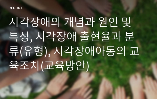 시각장애의 개념과 원인 및 특성, 시각장애 출현율과 분류(유형), 시각장애아동의 교육조치(교육방안)