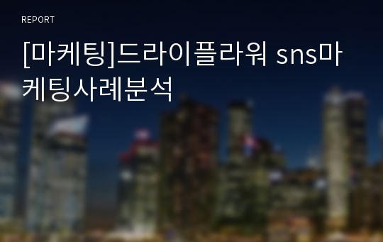 [마케팅]드라이플라워 sns마케팅사례분석