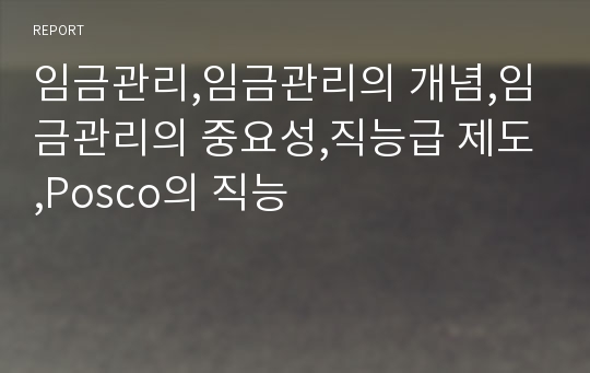 임금관리,임금관리의 개념,임금관리의 중요성,직능급 제도,Posco의 직능