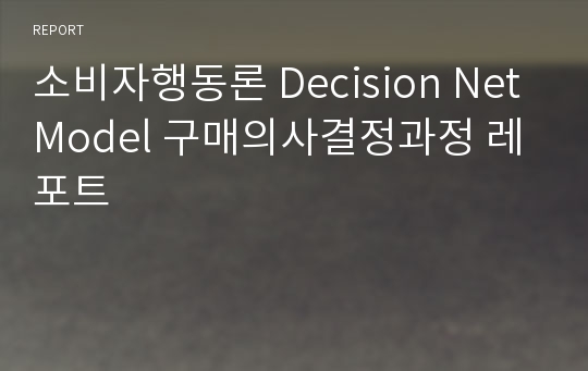 소비자행동론 Decision Net Model 구매의사결정과정 레포트