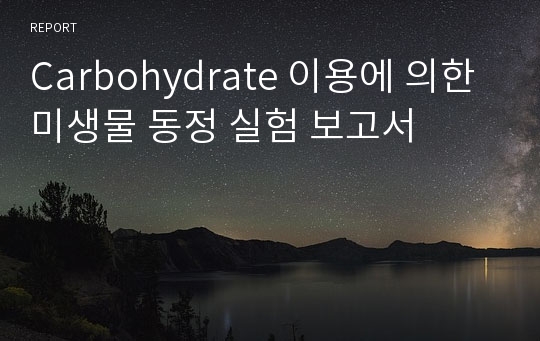 Carbohydrate 이용에 의한 미생물 동정 실험 보고서