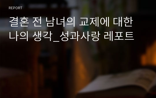 결혼 전 남녀의 교제에 대한 나의 생각_성과사랑 레포트