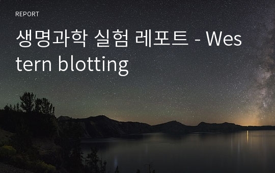 생명과학 실험 레포트 - Western blotting