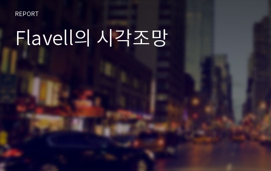 Flavell의 시각조망