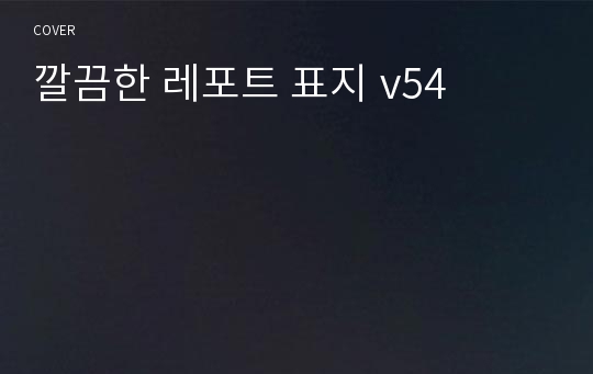 깔끔한 레포트 표지 v54