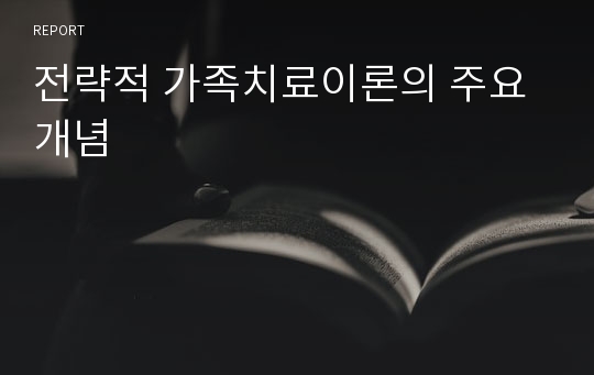 전략적 가족치료이론의 주요개념