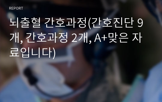 뇌출혈 간호과정(간호진단 9개, 간호과정 2개, A+맞은 자료입니다) 