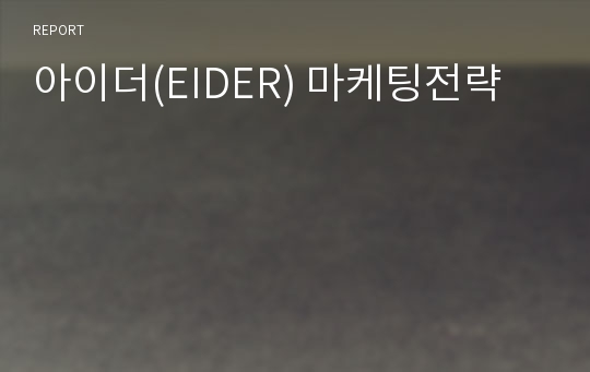 아이더(EIDER) 마케팅전략