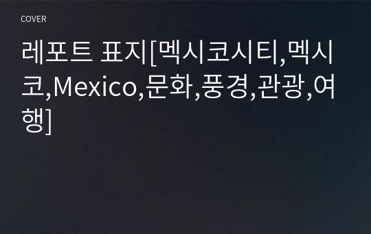 레포트 표지[멕시코시티,멕시코,Mexico,문화,풍경,관광,여행]