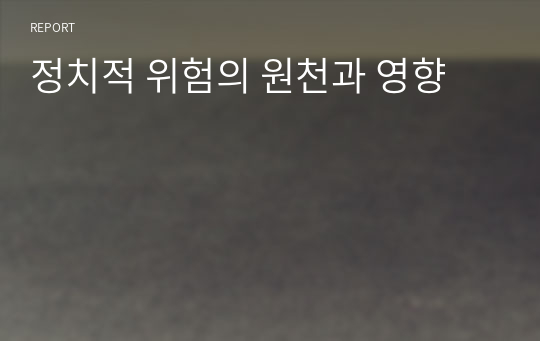 정치적 위험의 원천과 영향