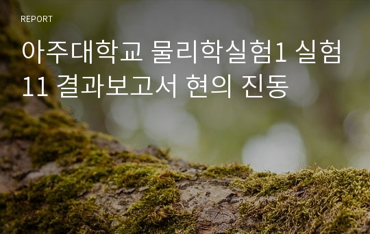 아주대학교 물리학실험1 실험11 결과보고서 현의 진동