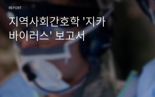 지역사회간호학 &#039;지카바이러스&#039; 보고서