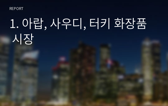 1. 아랍, 사우디, 터키 화장품 시장