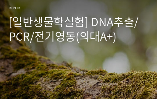 [일반생물학실험] DNA추출/PCR/전기영동(의대A+)