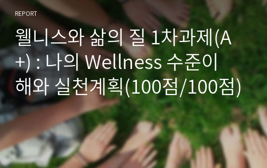 웰니스와 삶의 질 1차과제(A+) : 나의 Wellness 수준이해와 실천계획(100점/100점)