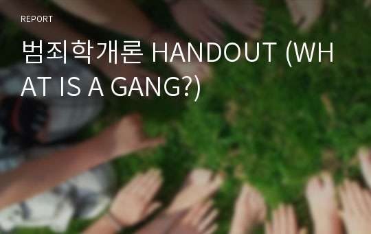 범죄학개론 HANDOUT (WHAT IS A GANG?)