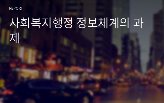 사회복지행정 정보체계의 과제