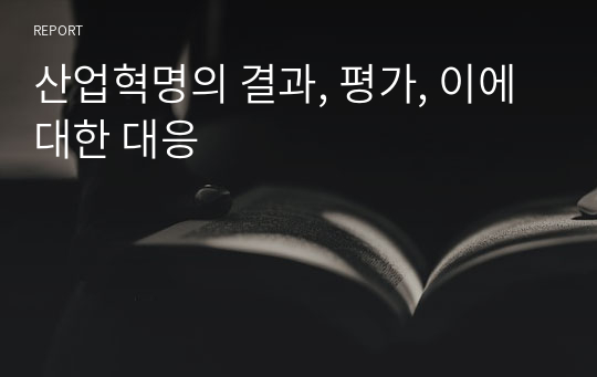 산업혁명의 결과, 평가, 이에 대한 대응