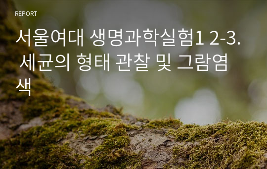 서울여대 생명과학실험1 2-3. 세균의 형태 관찰 및 그람염색