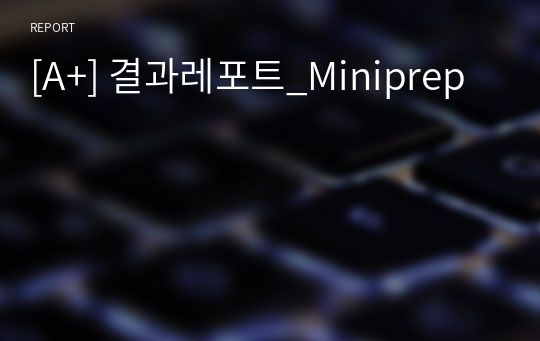 [A+] 결과레포트_Miniprep